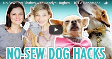 Jocelyn Hughes Dog Clothes